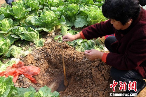 �人һ�˵ص���ð���������켦����2��
