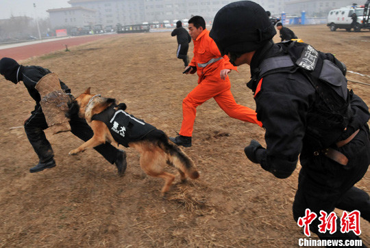 �ӱ��������Ͼٰ����Ӧ����Ԯ��������