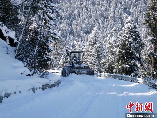 �Ĵ����ӻ���Ӧ�Դ�ѩ����