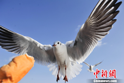 ���մ���ů�����ڣ�2��