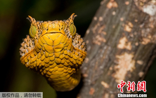 点图查看下一页