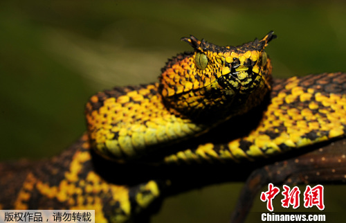 点图查看下一页