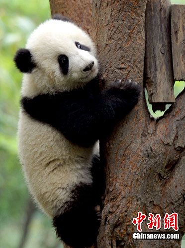点图查看下一页