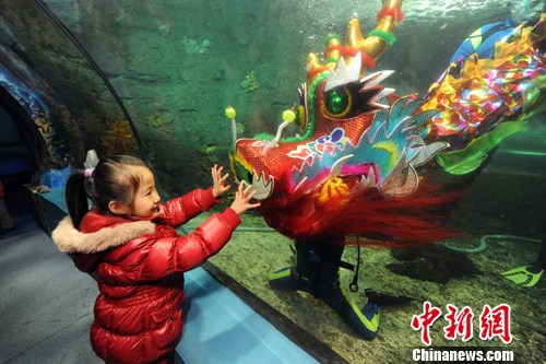点图查看下一页