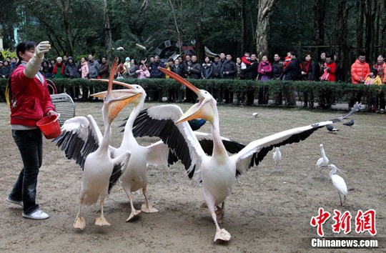 点图查看下一页