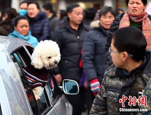 点图查看下一页