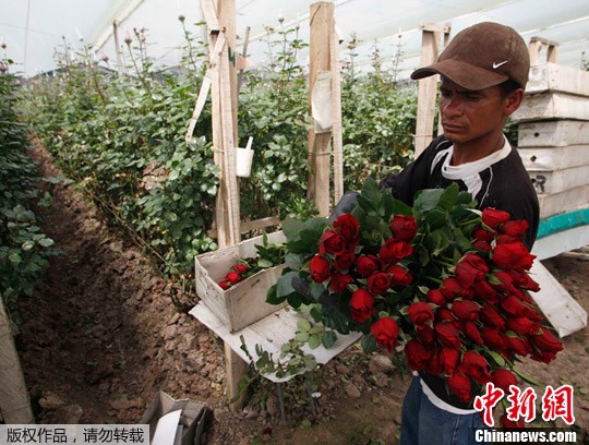 点图查看下一页