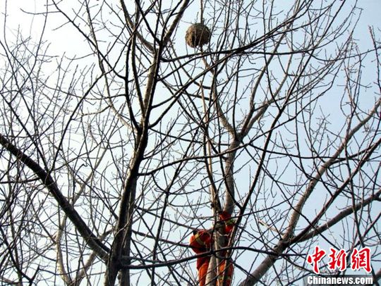 点图查看下一页
