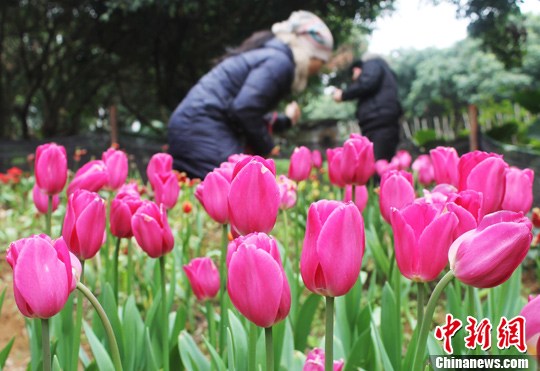 点图查看下一页