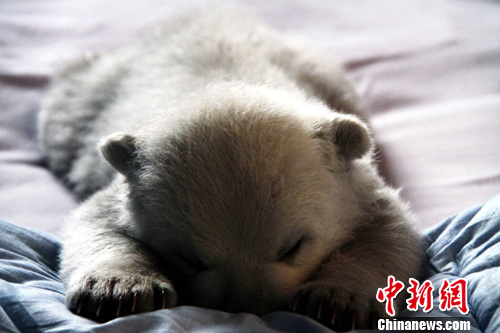 点图查看下一页