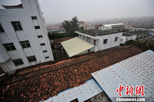 探访福建归真堂老熊场5