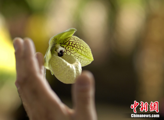 点图查看下一页