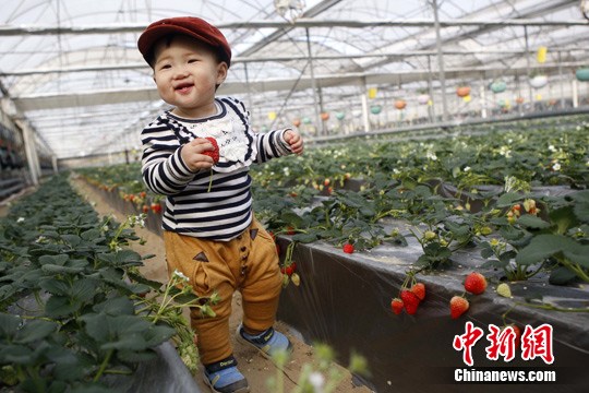 点图查看下一页