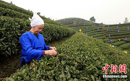 点图查看下一页