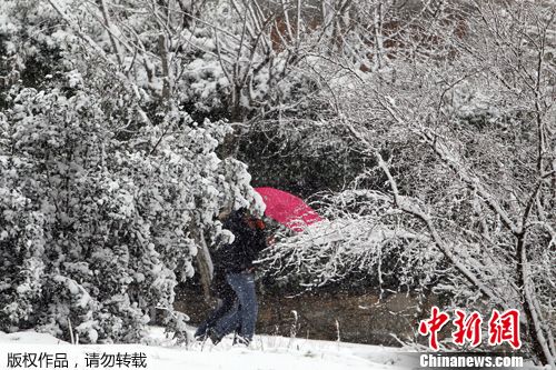 点图查看下一页