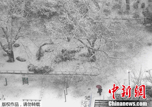 点图查看下一页
