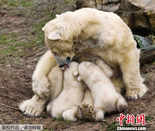 点图查看下一页