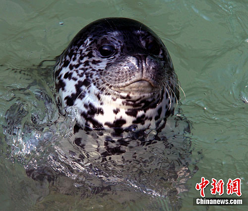 点图查看下一页