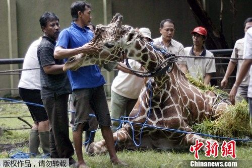 点图查看下一页