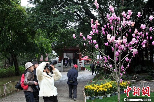 点图查看下一页