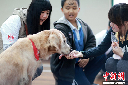 点图查看下一页