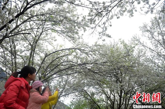点图查看下一页