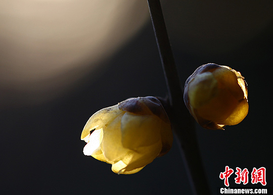 点图查看下一页