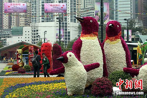 点图查看下一页