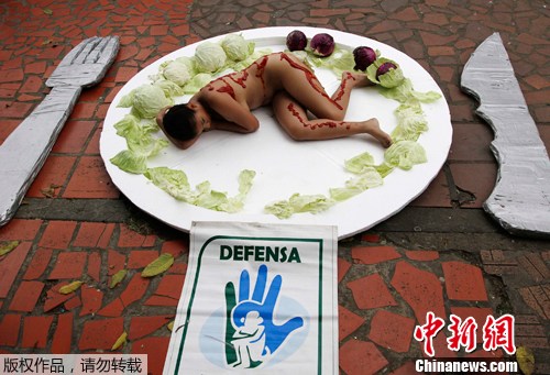 点图查看下一页