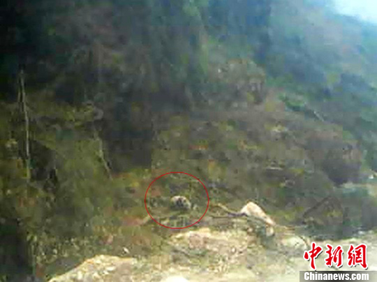 点图查看下一页