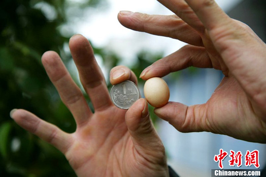 点图查看下一页