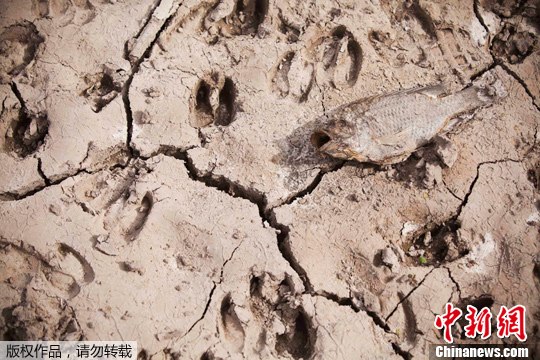 点图查看下一页