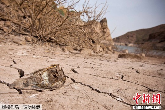 点图查看下一页