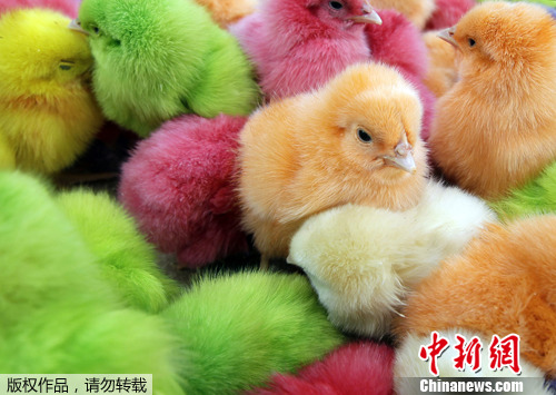 点图查看下一页