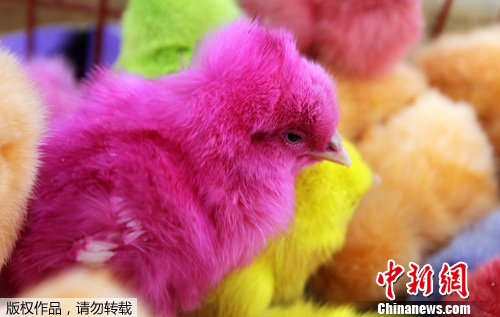 点图查看下一页