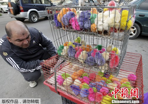 点图查看下一页