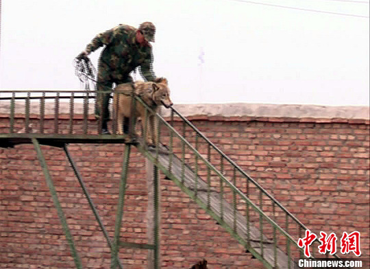 点图查看下一页