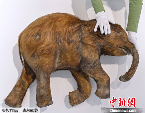 点图查看下一页