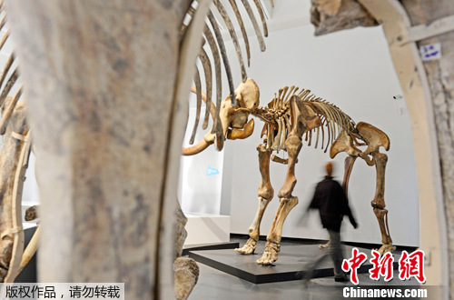 点图查看下一页