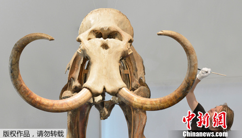 点图查看下一页