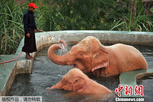 点图查看下一页
