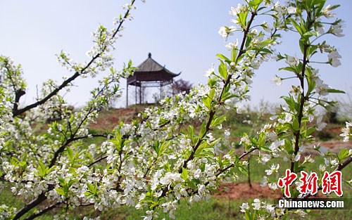 点图查看下一页