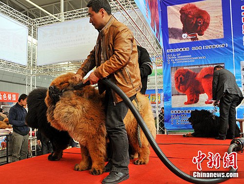点图查看下一页