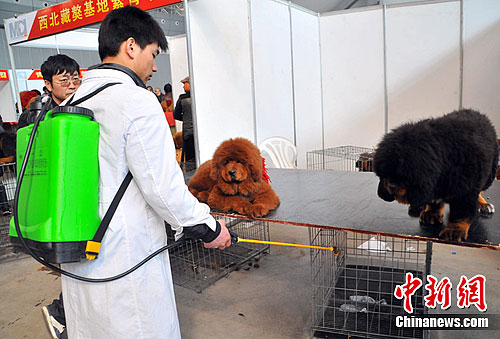 点图查看下一页