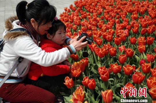 点图查看下一页