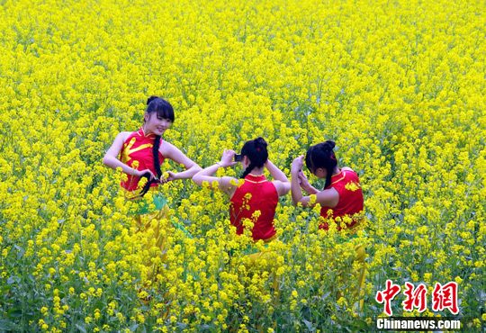 点图查看下一页