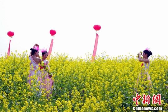 点图查看下一页