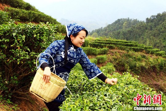 点图查看下一页