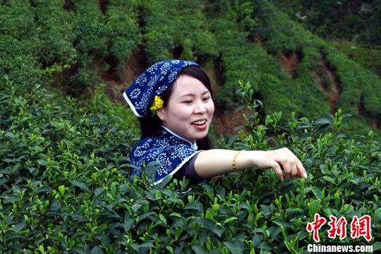 点图查看下一页