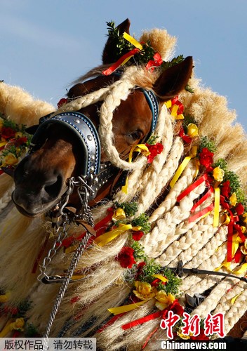 点图查看下一页